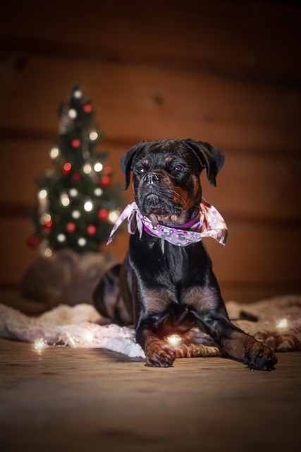 kerstpakketten: keuzestress of kansen?